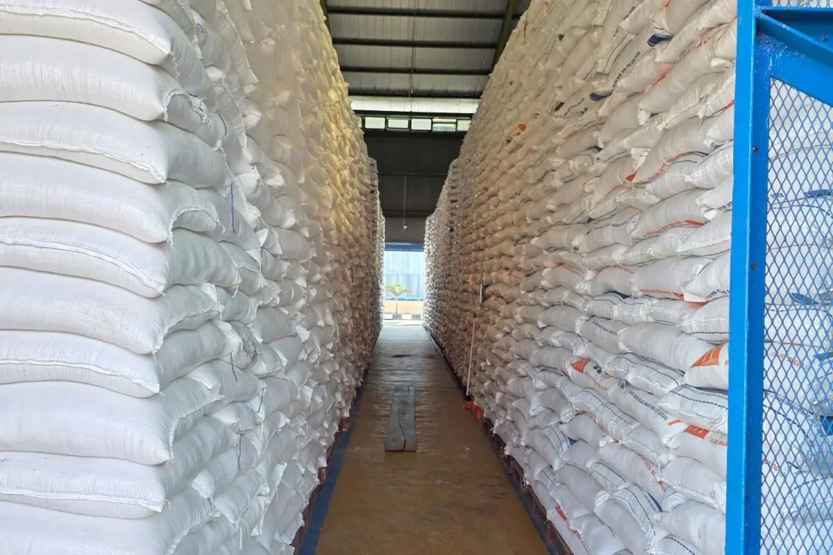 Cadangan Beras Menguat, Ancaman Global dan El Nino Terkendali Cadangan Beras Menguat, Ancaman Global dan El Nino Terkendali